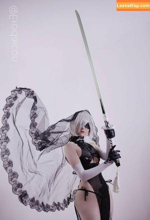 Erodaicon photo #0039
