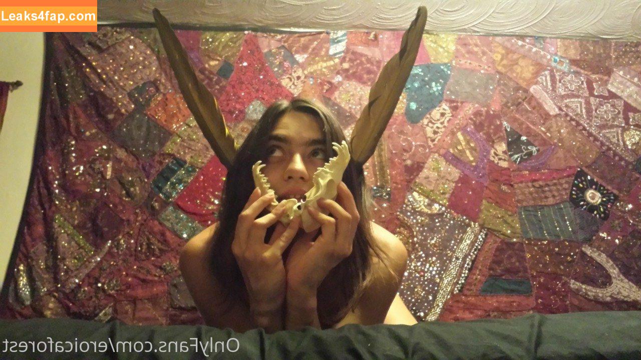 EroicaForest / PhoenixFloe / xEroicaForestx leaked photo photo #0056
