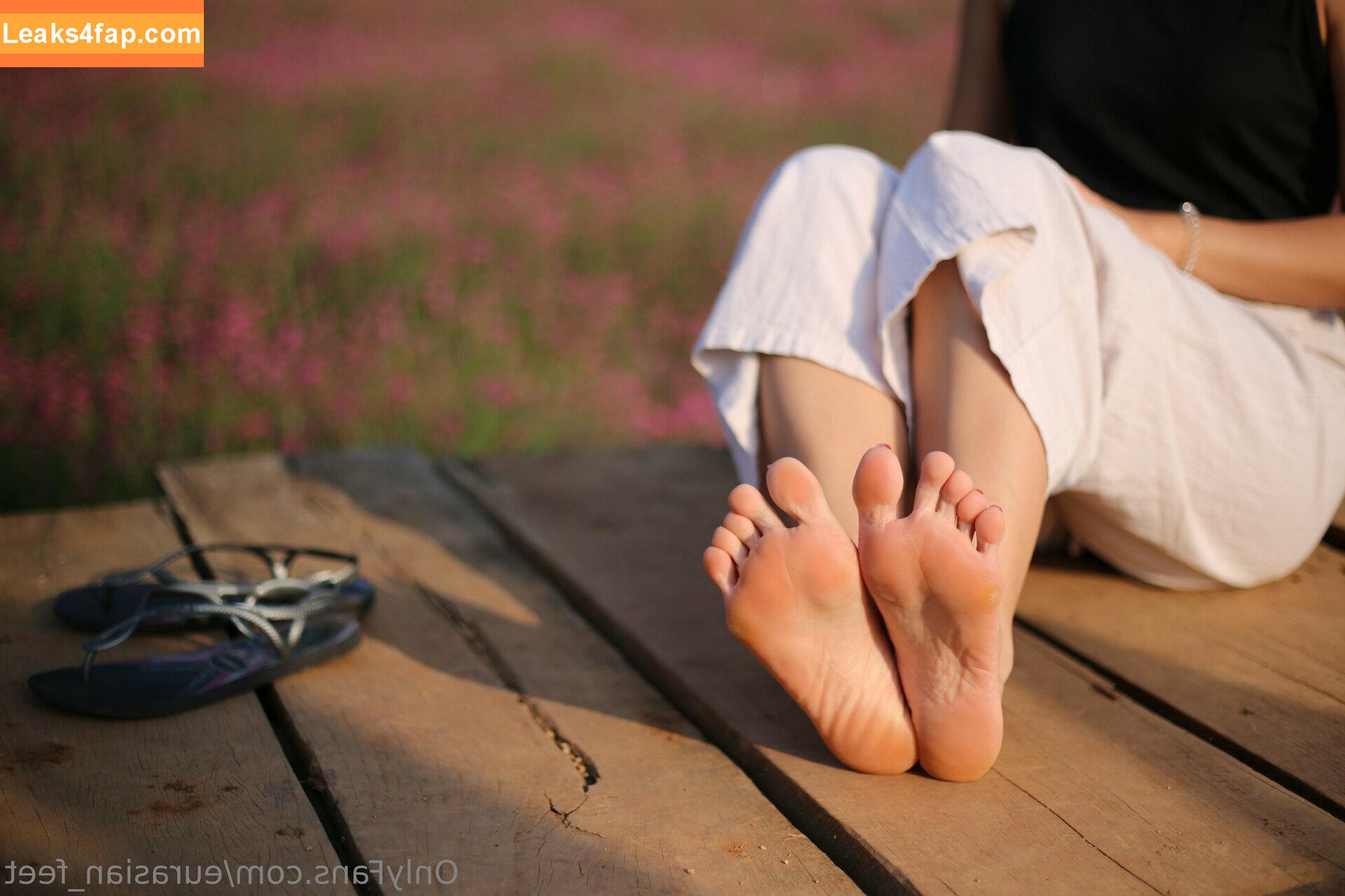 eurasian_feet / eurasian.feet leaked photo photo #0315