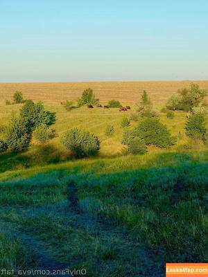 eva_taft photo #0306