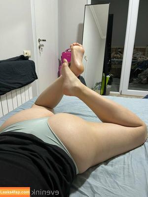 Evenink photo #1043