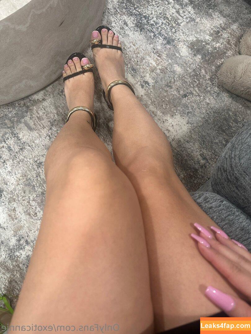 exoticannie / exoticannie_ / latinbarbie24 leaked photo photo #0052