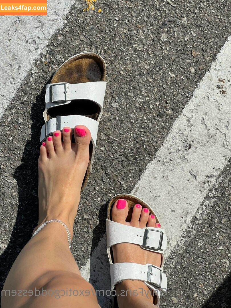 exoticgoddessem /  leaked photo photo #0732