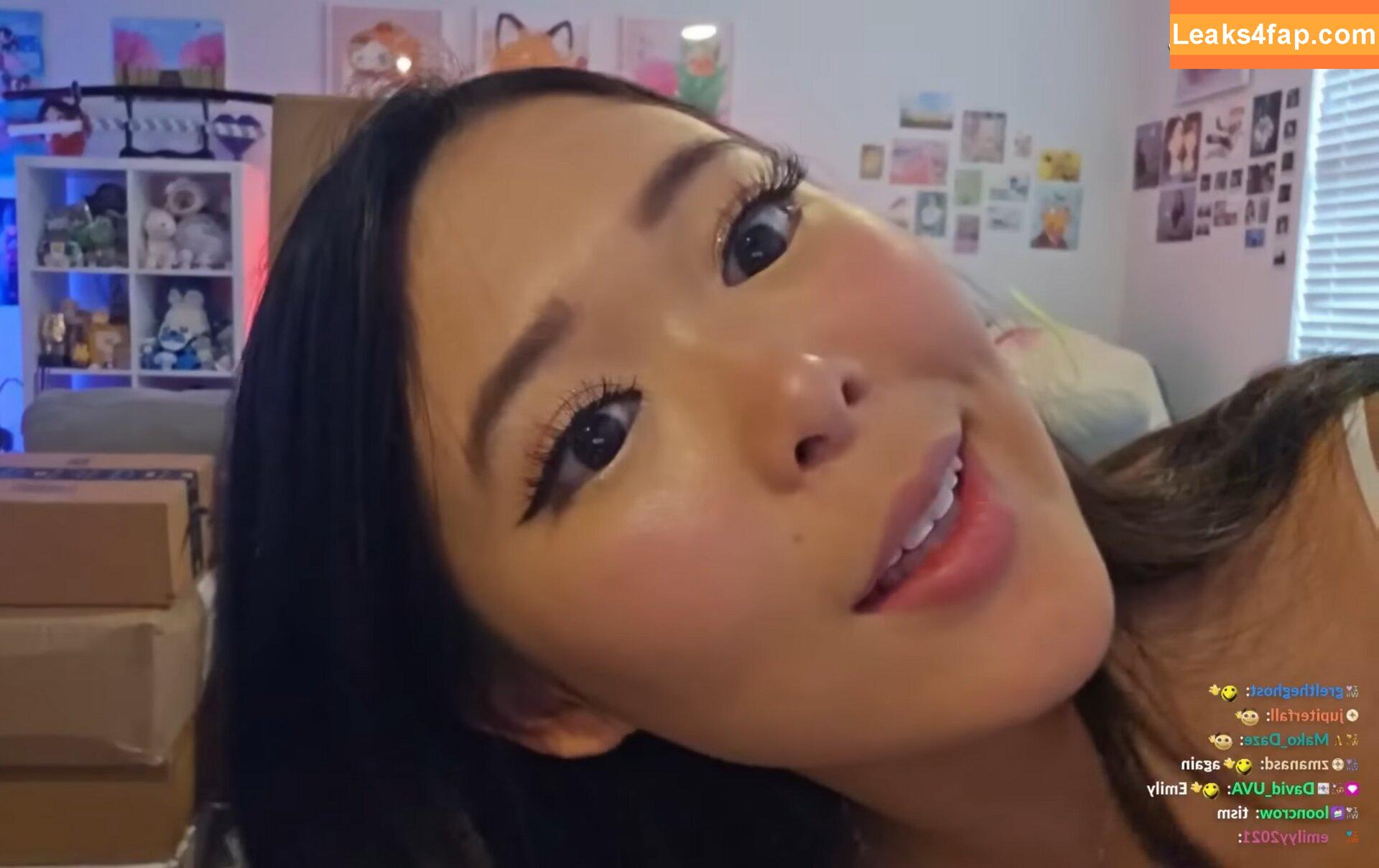 Extraemily / extra.emilay / extraemilyy / extremly_cute leaked photo photo #1060