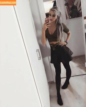 Farbenfuchs photo #0002