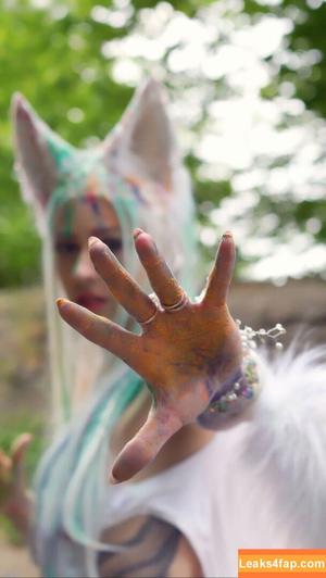 Farbenfuchs photo #0168
