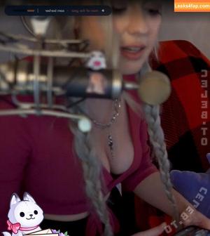 Farbenfuchs photo #0778