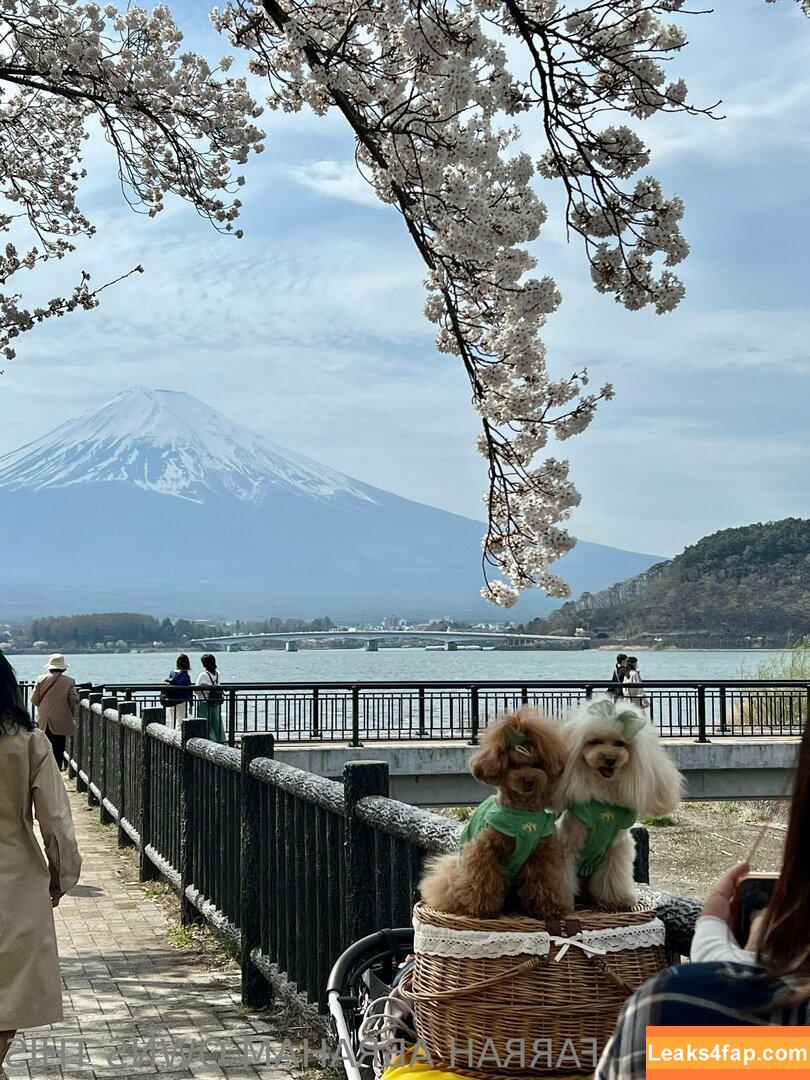 farrahabraham /  leaked photo photo #0059