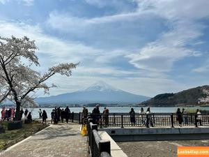 farrahabraham photo #0061
