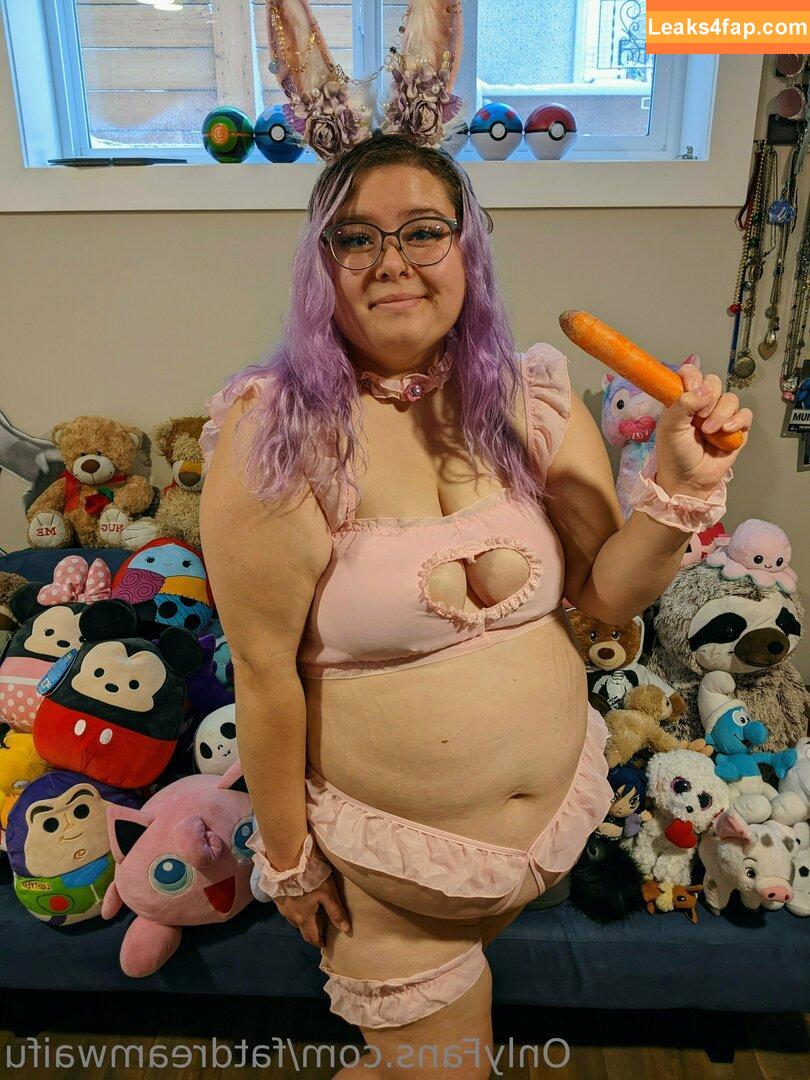 fatdreamwaifu /  leaked photo photo #0388