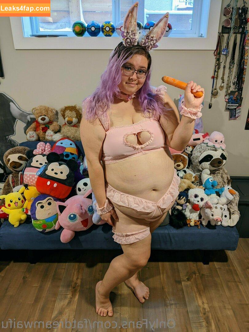 fatdreamwaifu /  leaked photo photo #0389