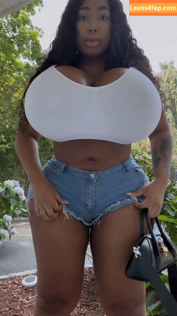 Fatima Belizaire / fatimabeee leaked photo photo #0002