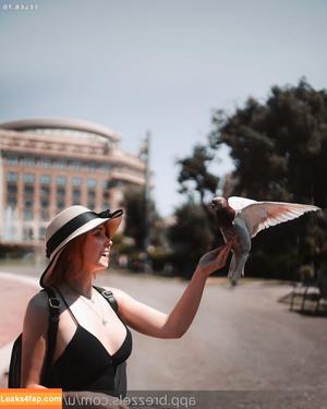 Feedeline photo #0316