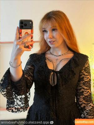 Feedeline photo #0590