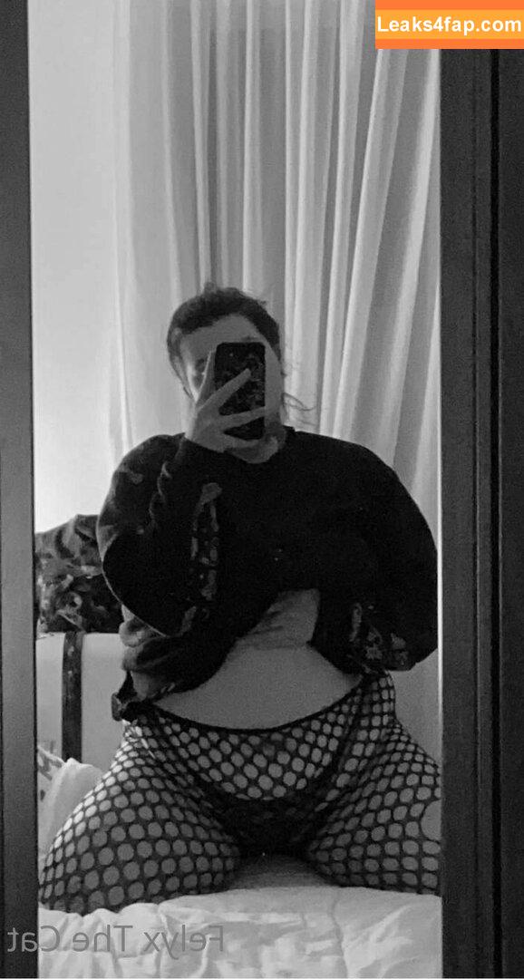 felyxfree / felyxfox leaked photo photo #0008