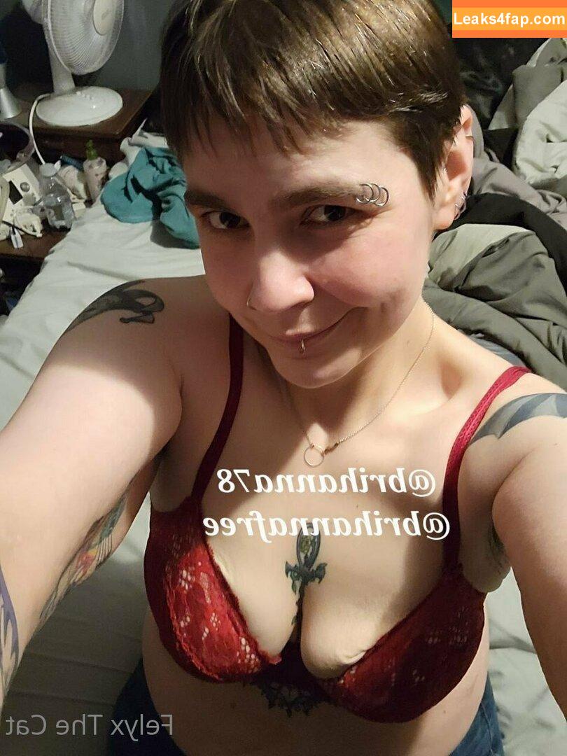 felyxfree / felyxfox leaked photo photo #0037