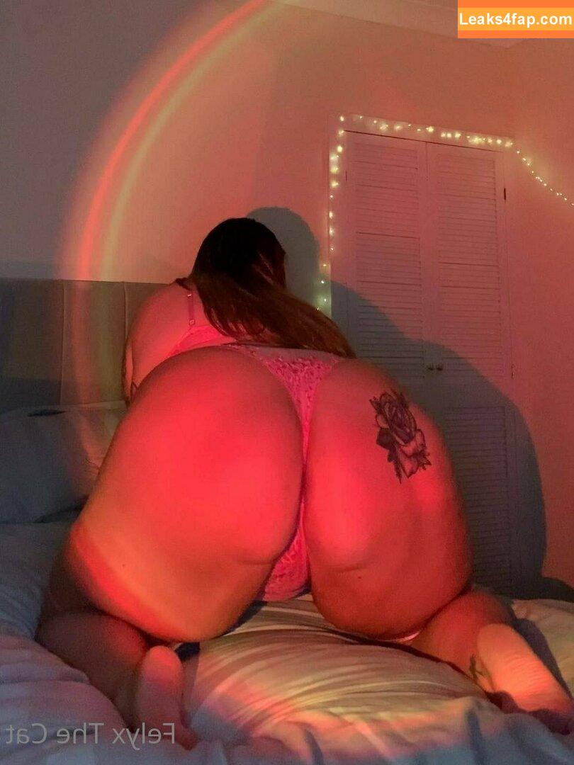 felyxfree / felyxfox leaked photo photo #0045