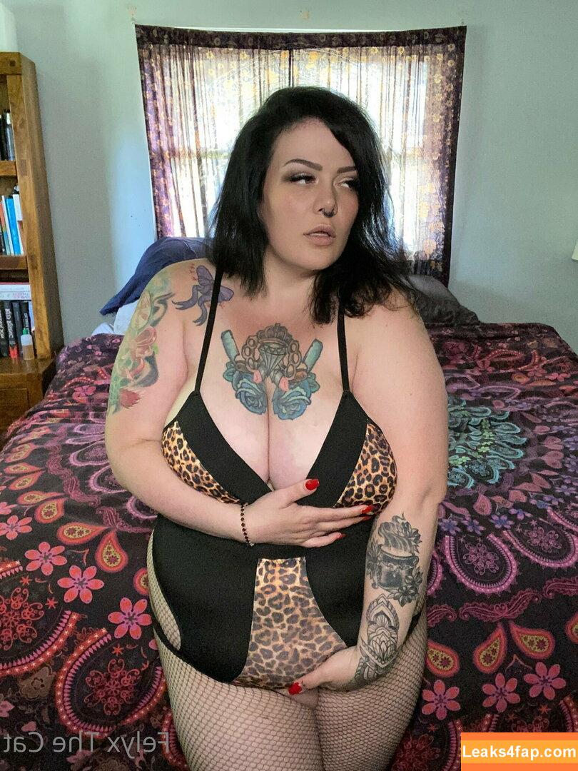 felyxfree / felyxfox leaked photo photo #0107