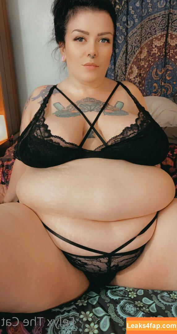 felyxfree / felyxfox leaked photo photo #0116