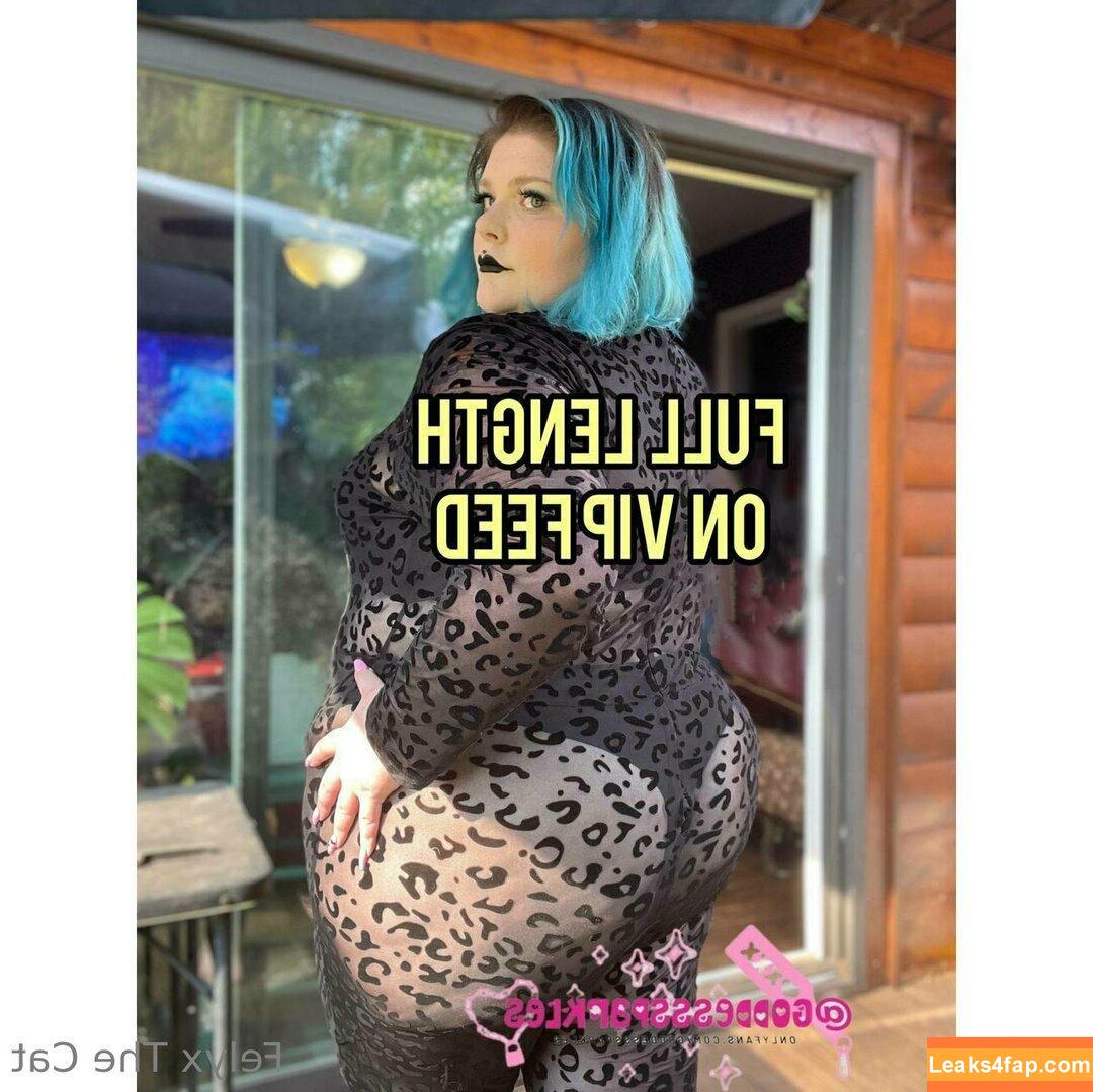 felyxfree / felyxfox leaked photo photo #0125