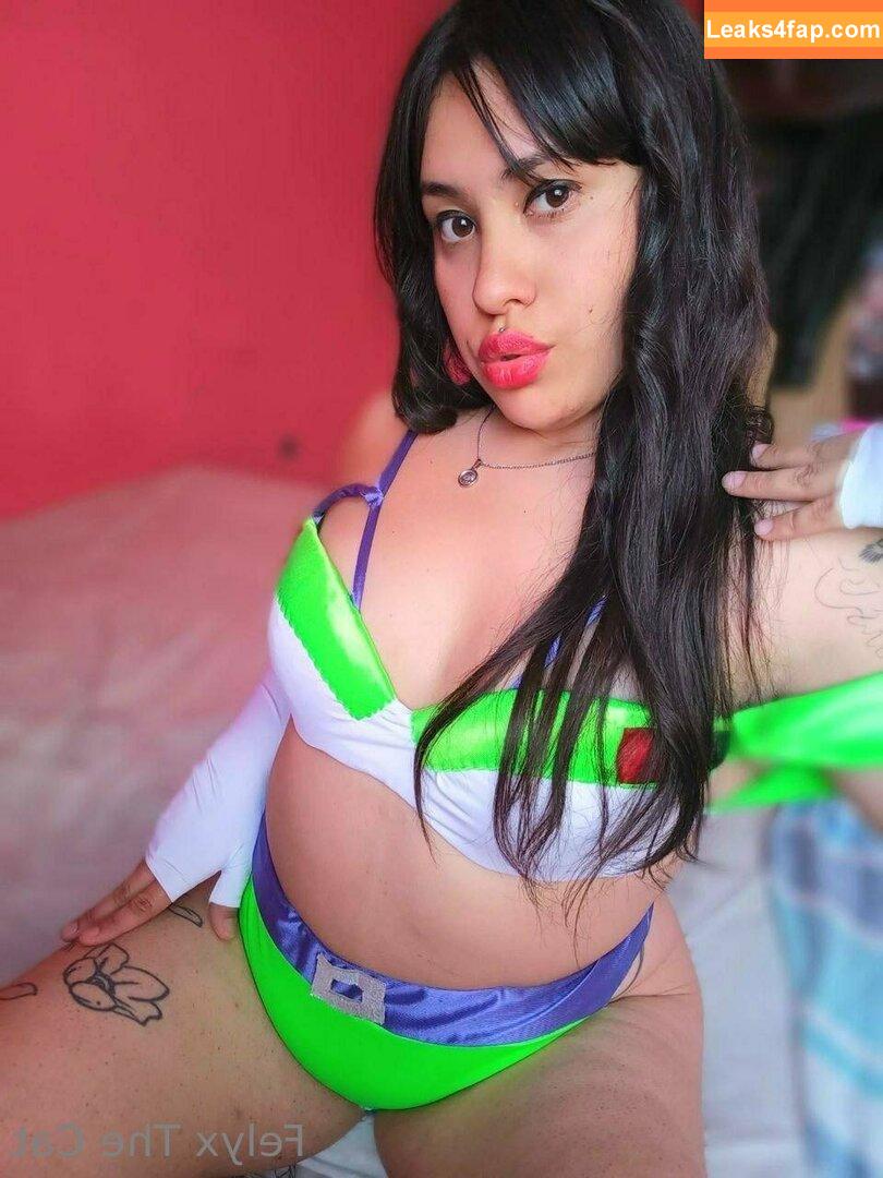 felyxfree / felyxfox leaked photo photo #0126