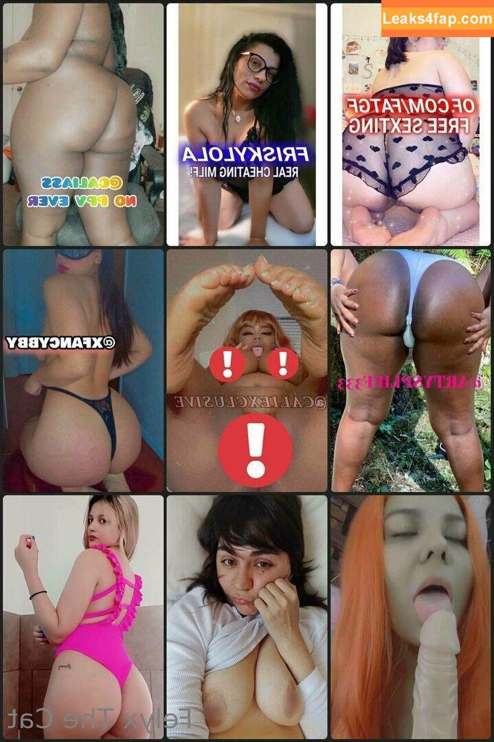 felyxfree / felyxfox leaked photo photo #0134