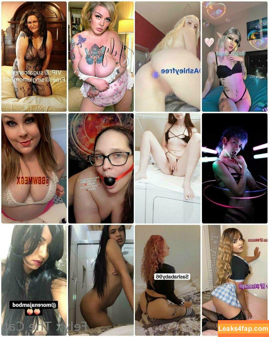 felyxfree / felyxfox leaked photo photo #0145