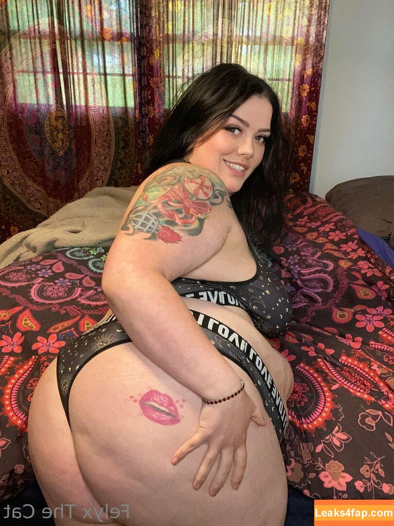 felyxfree / felyxfox leaked photo photo #0148