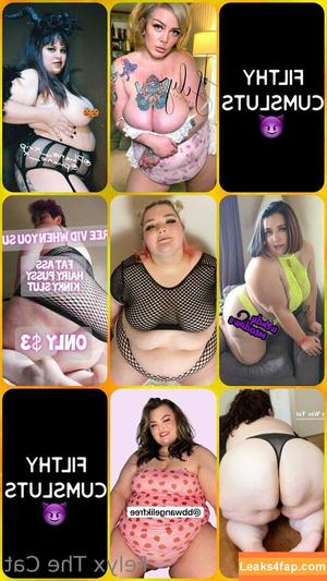 felyxfree photo #0133