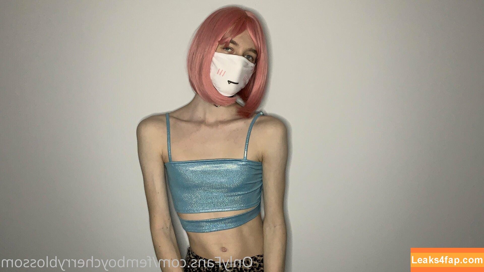 femboycherryblossom /  leaked photo photo #0005