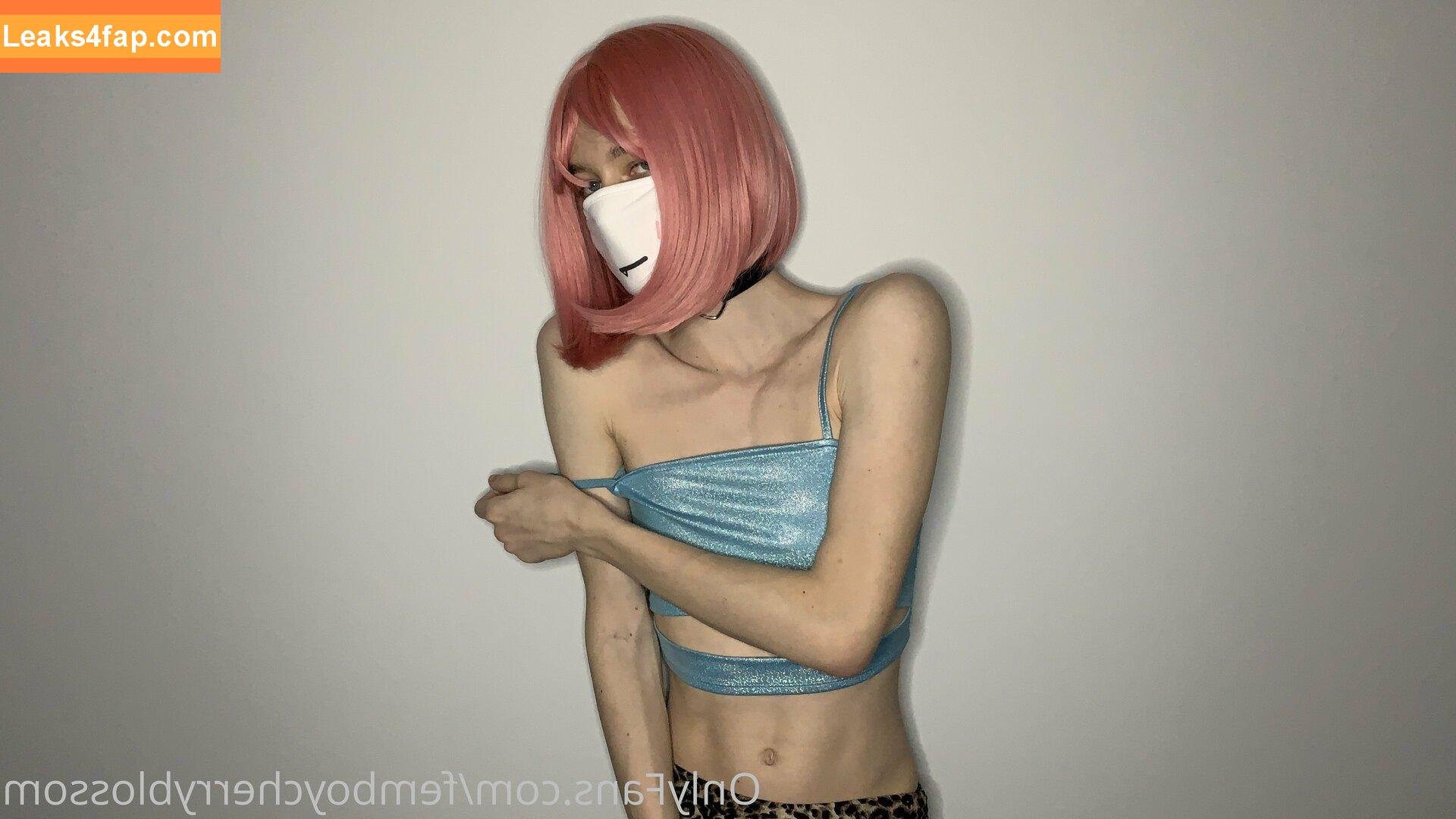 femboycherryblossom /  leaked photo photo #0007