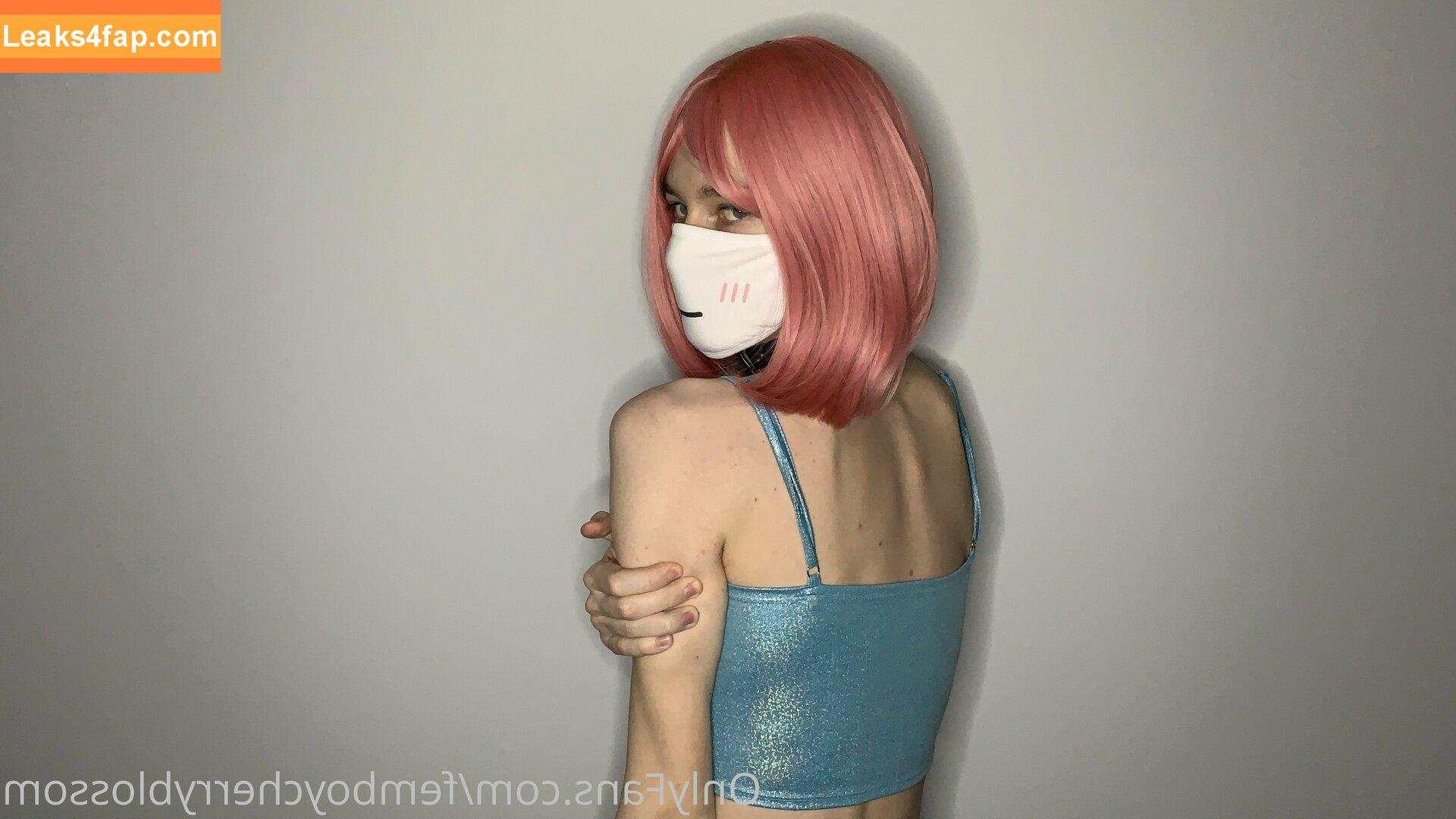 femboycherryblossom /  leaked photo photo #0025