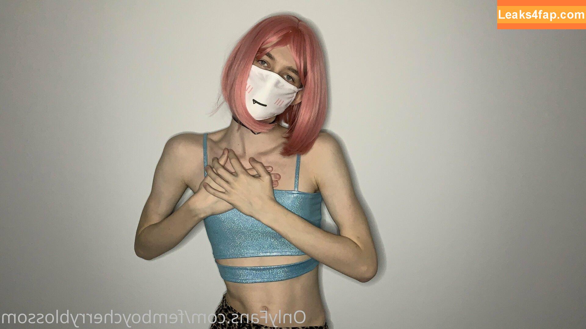 femboycherryblossom /  leaked photo photo #0026