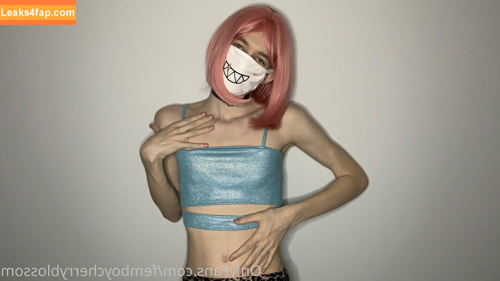 femboycherryblossom /  leaked photo photo #0027