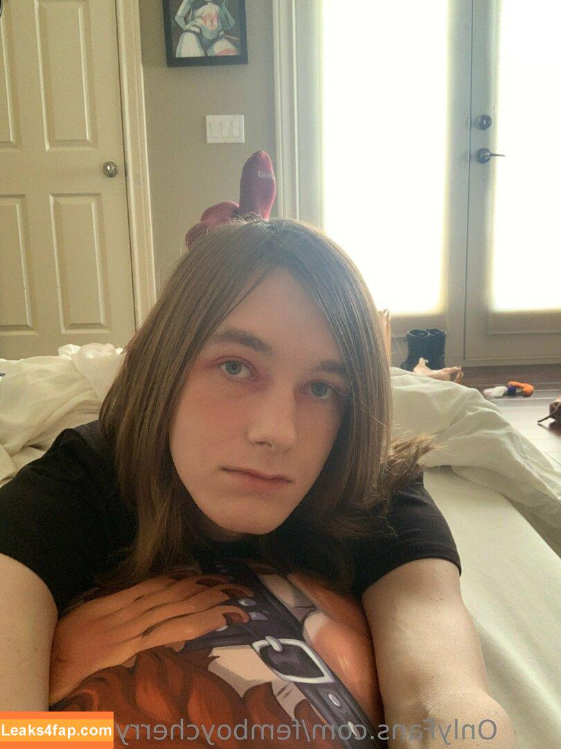 femboycherryblossom /  leaked photo photo #0110