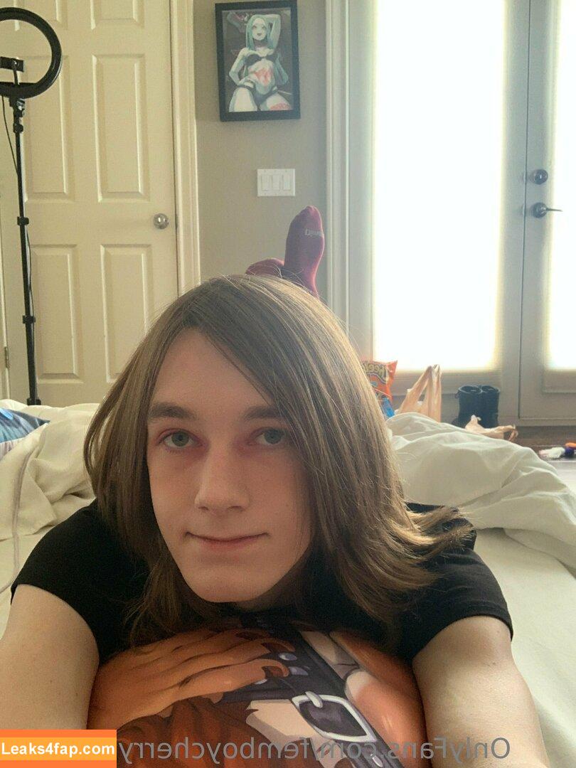 femboycherryblossom /  leaked photo photo #0111