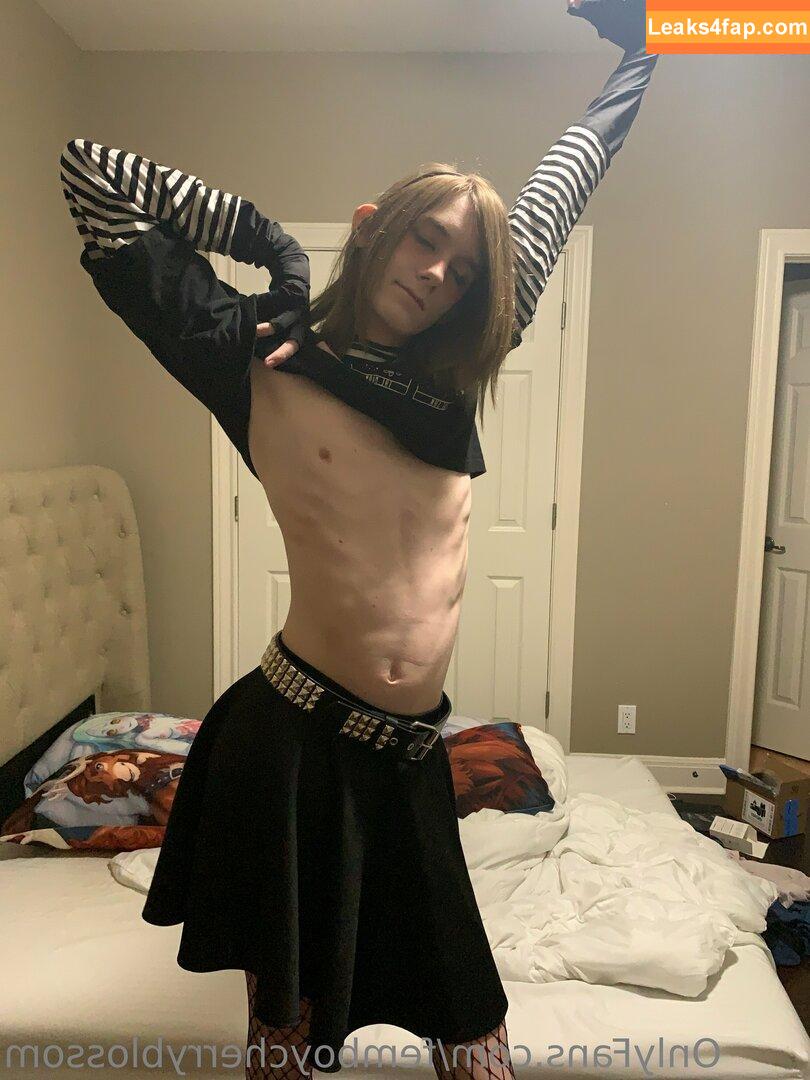 femboycherryblossom /  leaked photo photo #0126