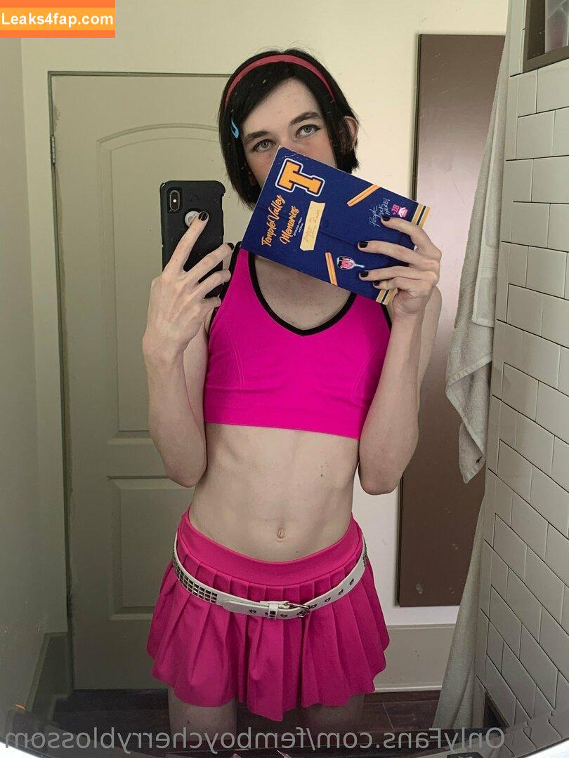 femboycherryblossom /  leaked photo photo #0194