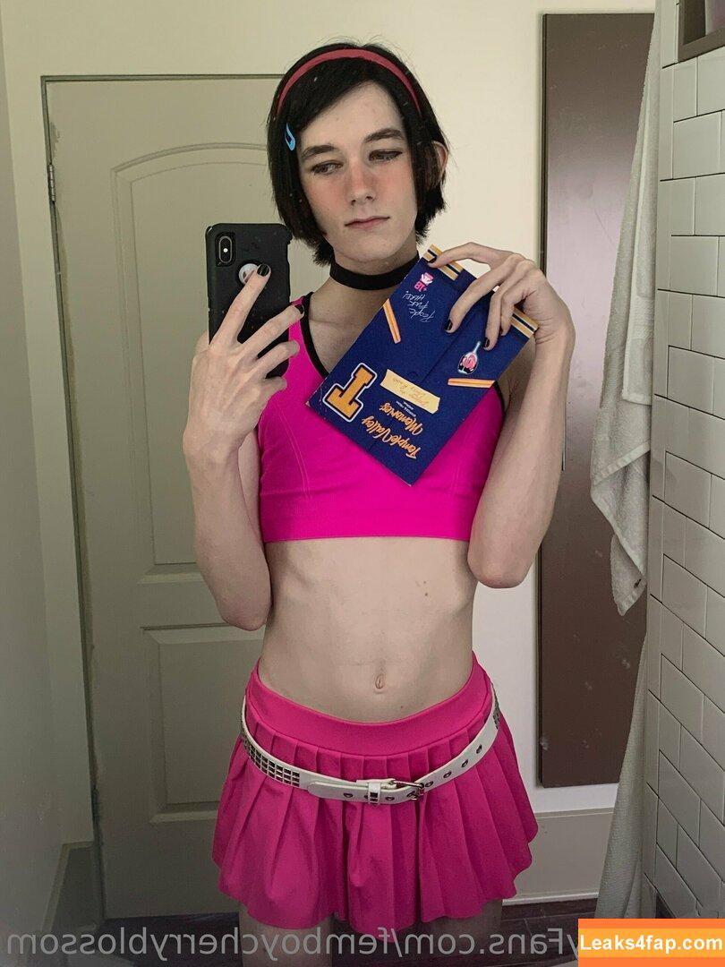 femboycherryblossom /  leaked photo photo #0195