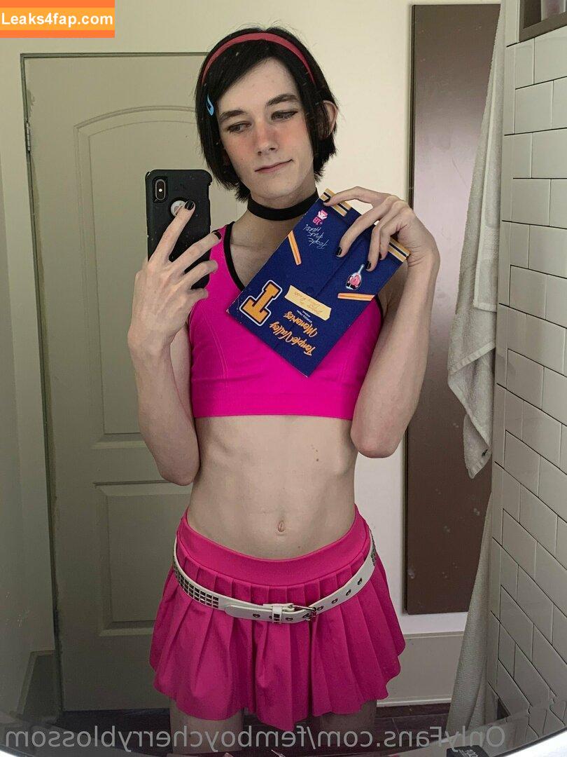 femboycherryblossom /  leaked photo photo #0200