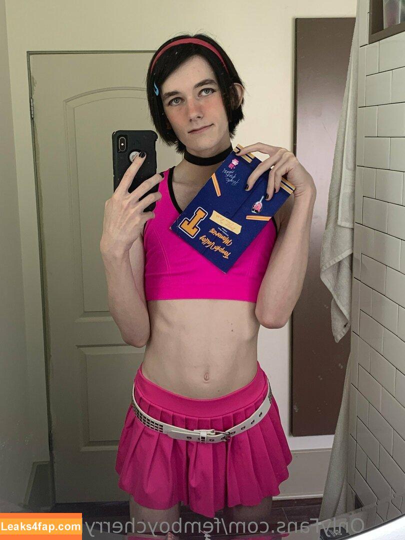 femboycherryblossom /  leaked photo photo #0201