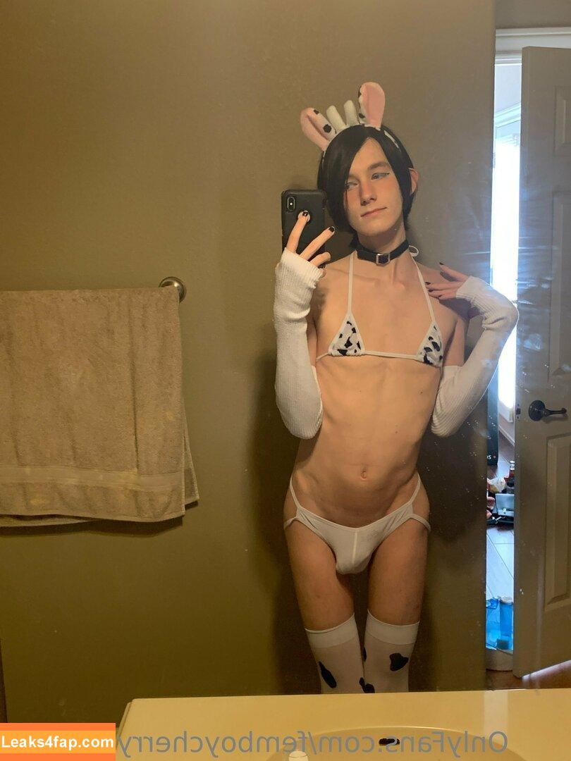 femboycherryblossom /  leaked photo photo #0209