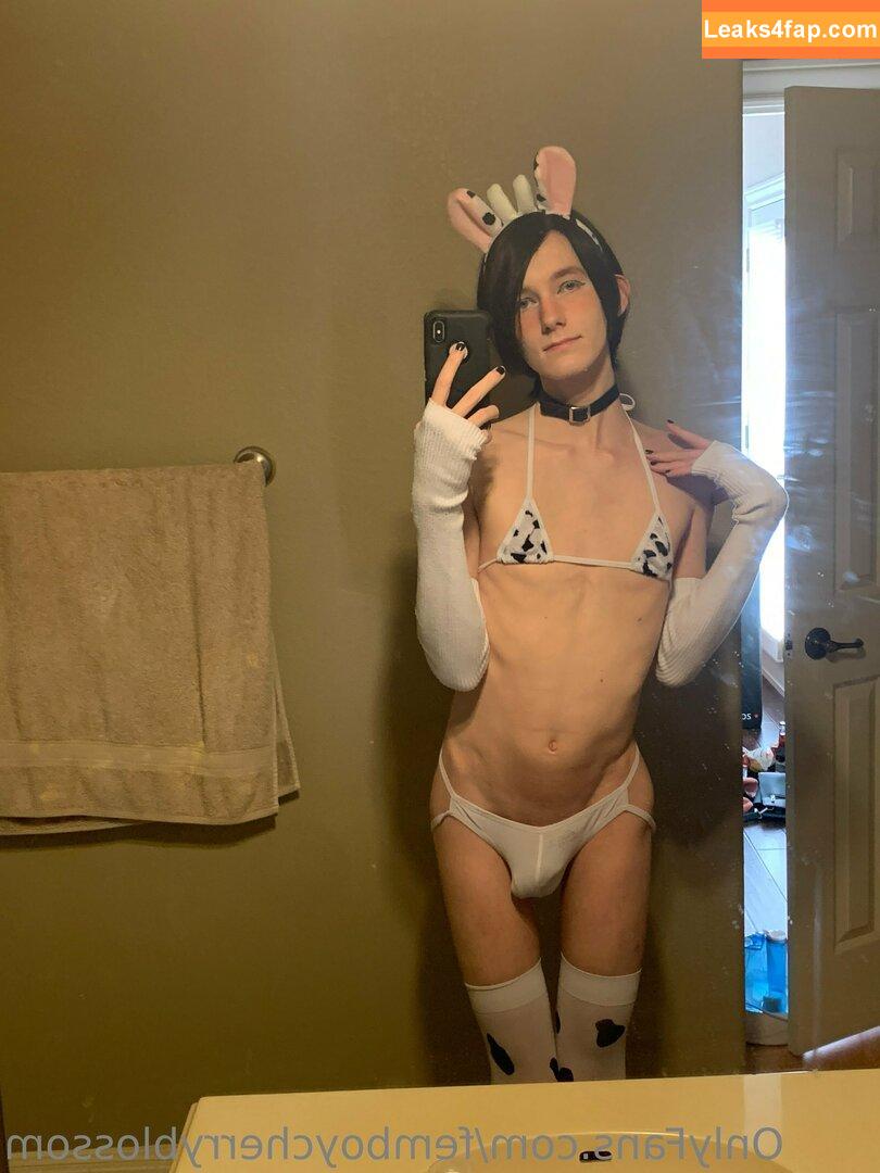 femboycherryblossom /  leaked photo photo #0210