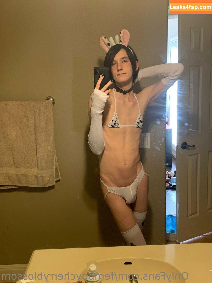 femboycherryblossom /  leaked photo photo #0211