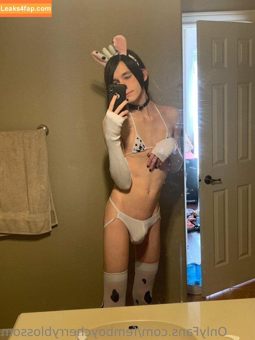 femboycherryblossom /  leaked photo photo #0214