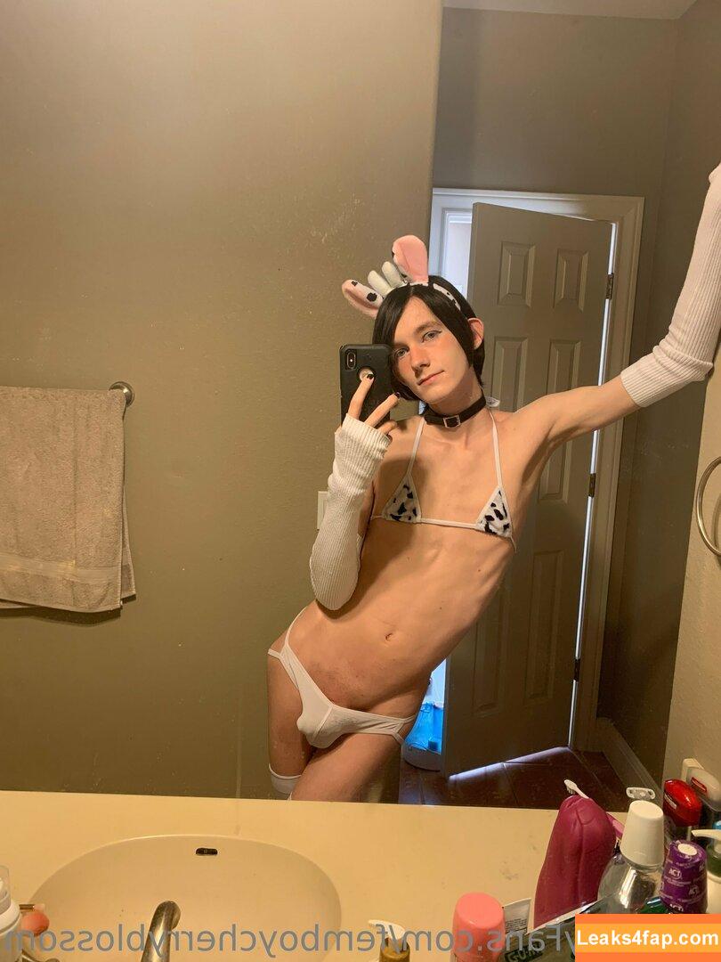 femboycherryblossom /  leaked photo photo #0246