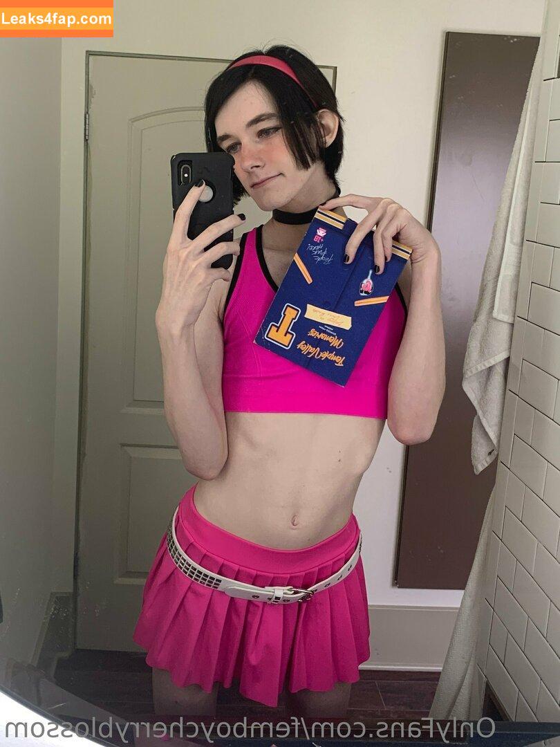 femboycherryblossom /  leaked photo photo #0252