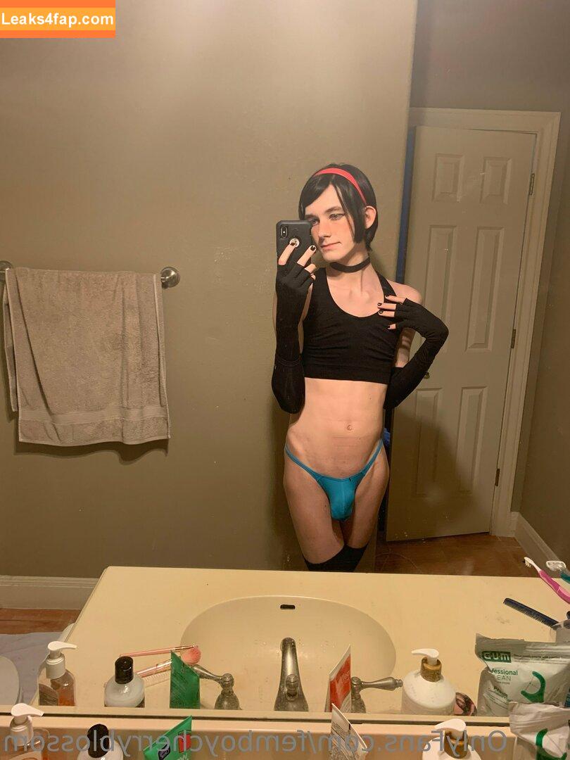 femboycherryblossom /  leaked photo photo #0262