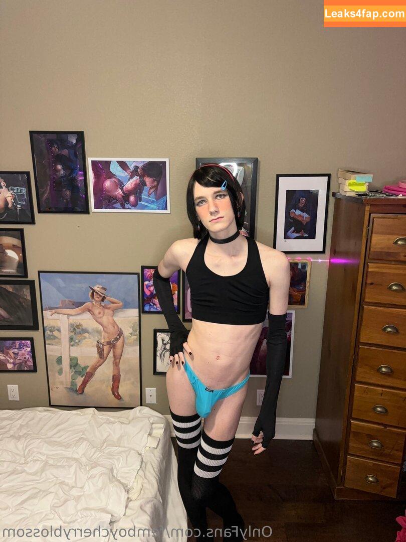 femboycherryblossom /  leaked photo photo #0296