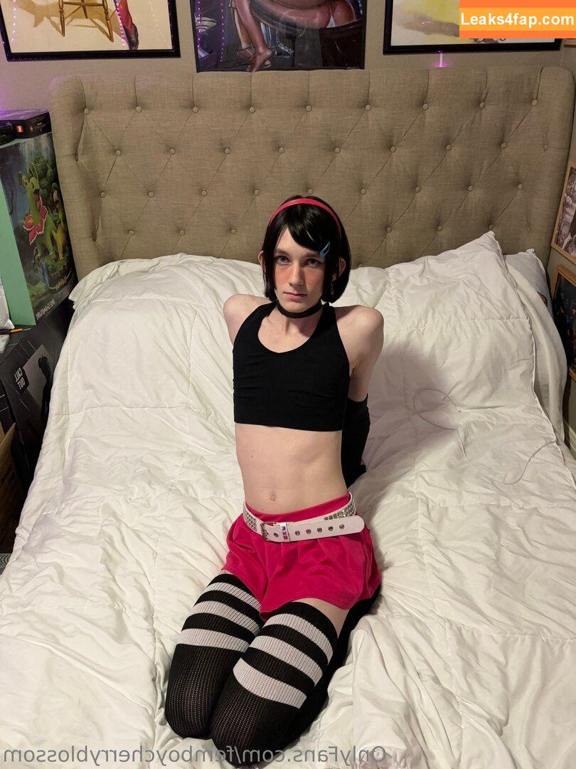 femboycherryblossom /  leaked photo photo #0299